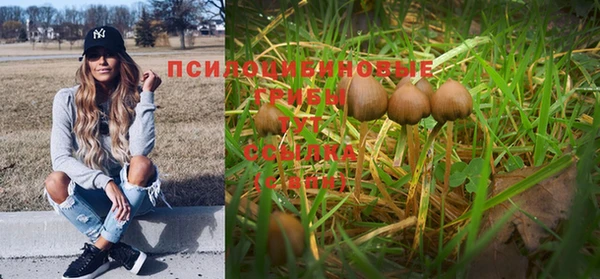 соль ск Тихвин