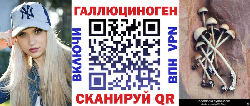 купить   площадка официальный сайт  Галлюциногенные грибы ЛСД  Боровск 
